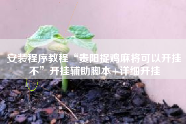 安装程序教程“贵阳捉鸡麻将可以开挂不”开挂辅助脚本+详细开挂