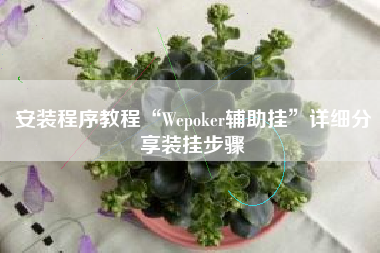 安装程序教程“Wepoker辅助挂	”详细分享装挂步骤