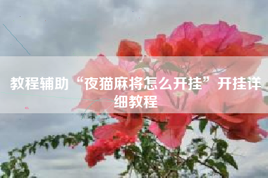 教程辅助“夜猫麻将怎么开挂	”开挂详细教程