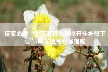 玩家必读“北京麻将小程序开挂神器下载	”(曝光透视必备猫腻