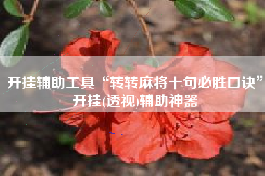 开挂辅助工具“转转麻将十句必胜口诀”开挂(透视)辅助神器