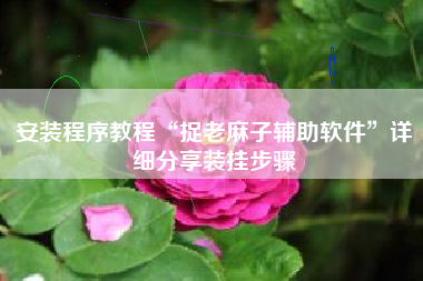 安装程序教程“捉老麻子辅助软件”详细分享装挂步骤