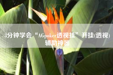 3分钟学会“AGpoker透视挂	”开挂(透视)辅助神器