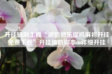 开挂辅助工具“微信微乐捉鸡麻将开挂免费下载”开挂辅助脚本+详细开挂