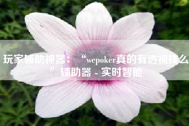 玩家辅助神器：“wepoker真的有透视挂么	”辅助器 - 实时智能
