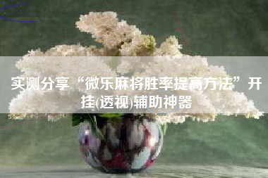 实测分享“微乐麻将胜率提高方法	”开挂(透视)辅助神器