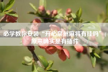 必学教你安装“开心泉州麻将有挂吗”(原来确实是有插件