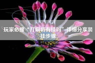 玩家必搜“打麻将有挂吗”详细分享装挂步骤