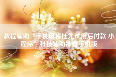 教程辅助“手机麻将挂先试用后付款 小程序”科技辅助神器手机版