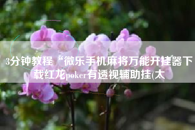 3分钟教程“微乐手机麻将万能开挂器下载红龙poker有透视辅助挂(太