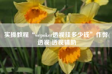 实操教程“wepoker透视挂多少钱	”作弊(透视)透视辅助