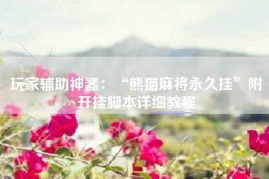 玩家辅助神器：“熊猫麻将永久挂	”附开挂脚本详细教程