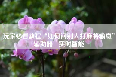 玩家必看教程“如何问别人打麻将输赢”辅助器 - 实时智能