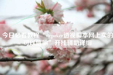 今日必看教程“wepoker透视脚本网上卖的可以信嘛	”开挂辅助详细