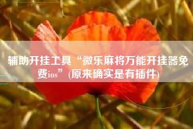 辅助开挂工具“微乐麻将万能开挂器免费ios	”(原来确实是有插件)