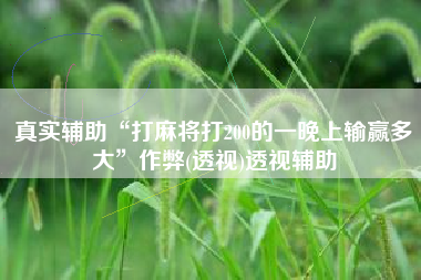 真实辅助“打麻将打200的一晚上输赢多大”作弊(透视)透视辅助