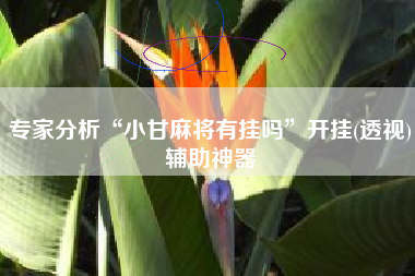 专家分析“小甘麻将有挂吗	”开挂(透视)辅助神器