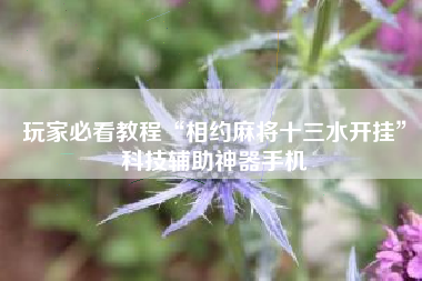 玩家必看教程“相约麻将十三水开挂”科技辅助神器手机