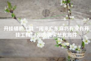 开挂辅助工具“闲来广东麻将有没有开挂工具”(原来确实是有插件