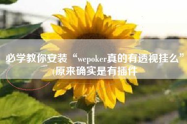 必学教你安装“wepoker真的有透视挂么	”(原来确实是有插件