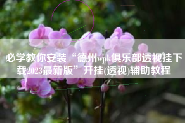 必学教你安装“德州wpk俱乐部透视挂下载2023最新版	”开挂(透视)辅助教程