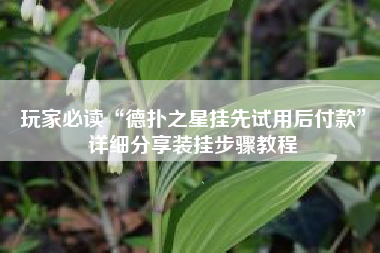 玩家必读“德扑之星挂先试用后付款”详细分享装挂步骤教程