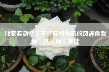 独家实测“关于打麻将输赢的风趣幽默话”其实确实有挂