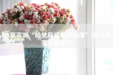 分享实测“哈灵麻将输赢规律”(原来确实是有插件)