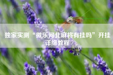 独家实测“微乐河北麻将有挂吗	”开挂详细教程