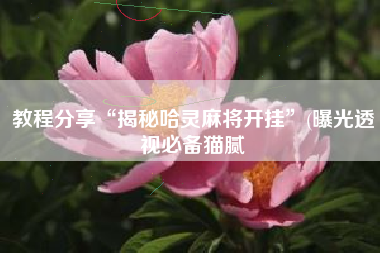 教程分享“揭秘哈灵麻将开挂	”(曝光透视必备猫腻
