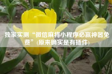 独家实测“微信麻将小程序必赢神器免费	”(原来确实是有插件)