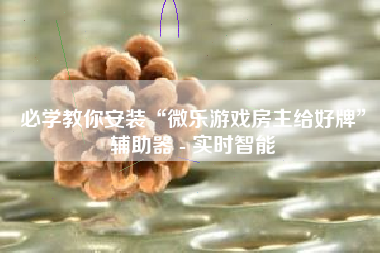 必学教你安装“微乐游戏房主给好牌”辅助器 - 实时智能