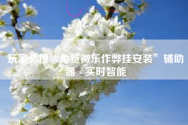 玩家必搜“免费微乐作弊挂安装”辅助器 - 实时智能