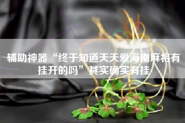 辅助神器“终于知道天天爱海南麻将有挂开的吗”其实确实有挂