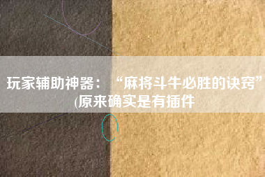 玩家辅助神器：“麻将斗牛必胜的诀窍	”(原来确实是有插件