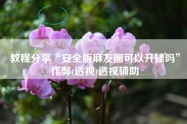 教程分享“安全版麻友圈可以开挂吗”作弊(透视)透视辅助