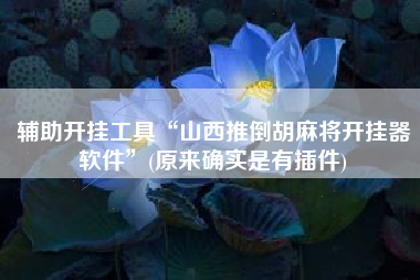 辅助开挂工具“山西推倒胡麻将开挂器软件”(原来确实是有插件)