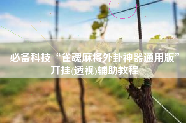 必备科技“雀魂麻将外卦神器通用版”开挂(透视)辅助教程