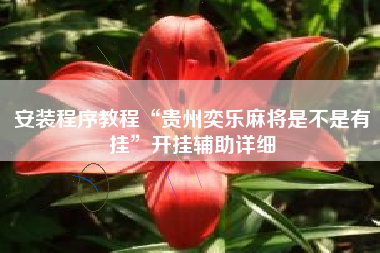 安装程序教程“贵州奕乐麻将是不是有挂”开挂辅助详细