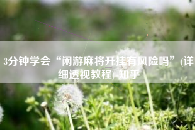 3分钟学会“闲游麻将开挂有风险吗	”(详细透视教程)-知乎