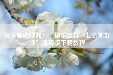 玩家辅助神器：“微乐三打一怎么抓好牌	”通用版下载教程