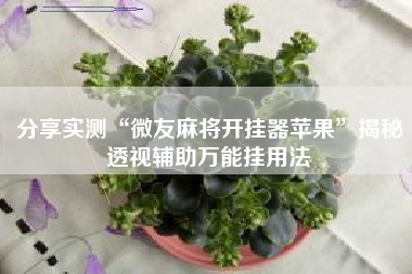 分享实测“微友麻将开挂器苹果”揭秘透视辅助万能挂用法