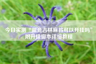 今日实测“微竞吉林麻将可以开挂吗”附开挂脚本详细教程