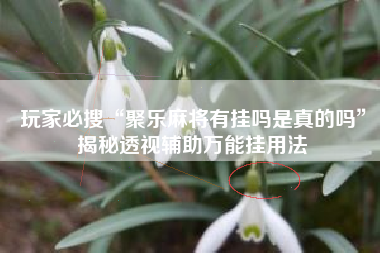 玩家必搜“聚乐麻将有挂吗是真的吗	”揭秘透视辅助万能挂用法