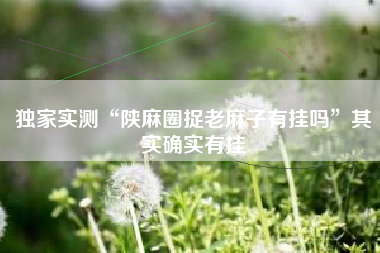 独家实测“陕麻圈捉老麻子有挂吗”其实确实有挂