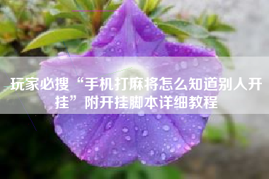 玩家必搜“手机打麻将怎么知道别人开挂”附开挂脚本详细教程