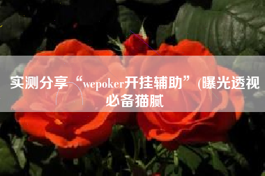实测分享“wepoker开挂辅助”(曝光透视必备猫腻
