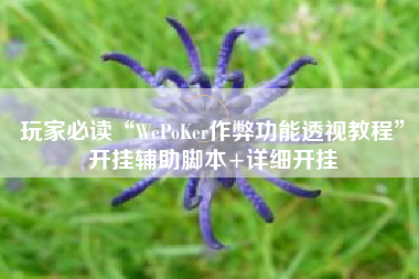 玩家必读“WePoKer作弊功能透视教程”开挂辅助脚本+详细开挂