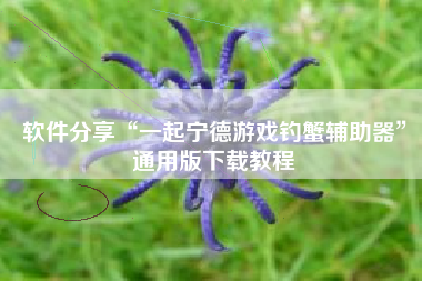 软件分享“一起宁德游戏钓蟹辅助器	”通用版下载教程