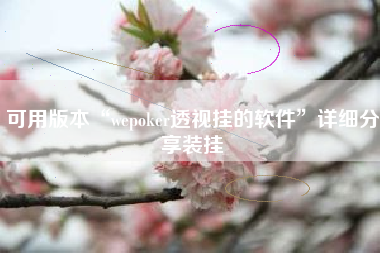 可用版本“wepoker透视挂的软件”详细分享装挂